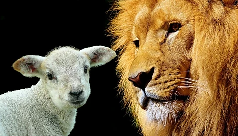 ཡོང༌ཅེས༌ཅན༌ནི༌ ཏུས༌སི༌ ལུང༌སྟན༌