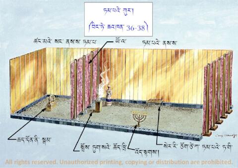 Fig 10 ཏམ༌པའེ༌ ཀུར༌